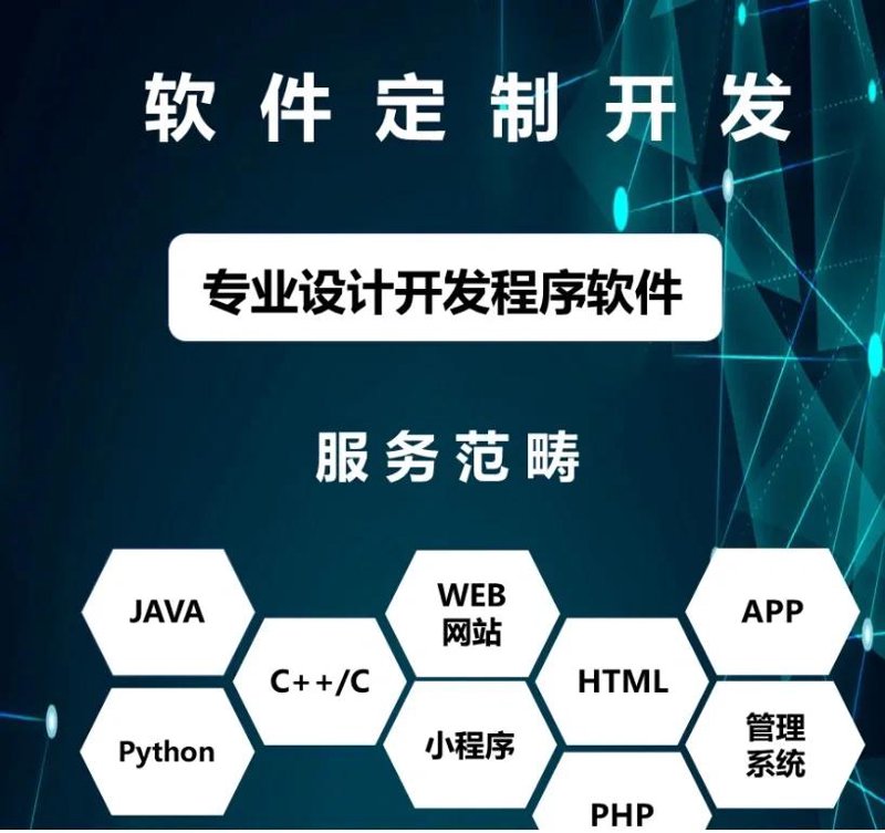 软件定制开发在企业数字化转型中的重要性